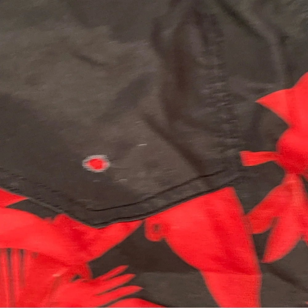 Men’s | Size Small | Swim Trunks | Black & Red